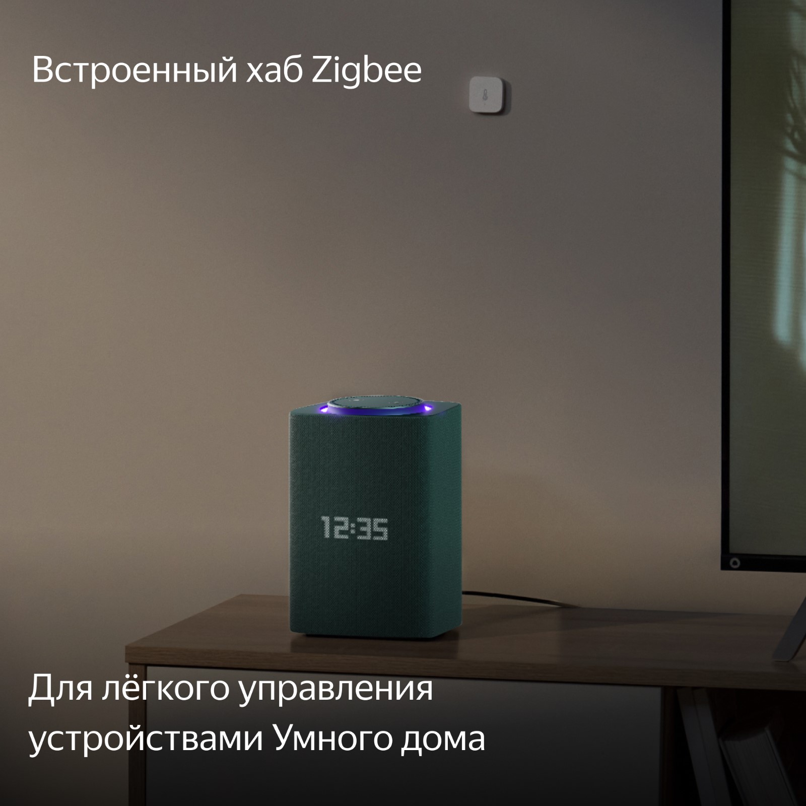Встроенный хаб Zigbee