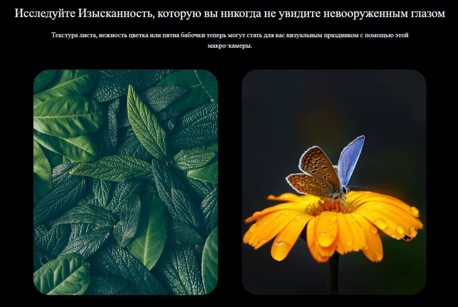 Исследуйте текстуры предметов при помощи сверхтехнологичной камеры.