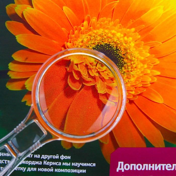 16854022_big Лупа с прозрачным корпусом 3х, 6х, d=5,5см — изображение 2