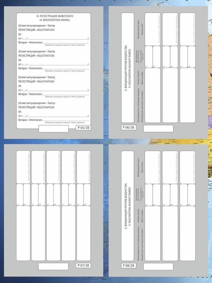 16862909_big Ветеринарный паспорт международный универсальный под светлую кожу — изображение 3