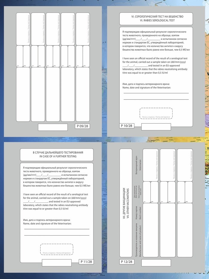 16862910_big Ветеринарный паспорт международный универсальный под светлую кожу — изображение 4