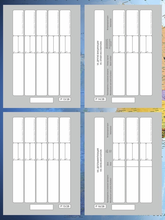 16862911_big Ветеринарный паспорт международный универсальный под светлую кожу — изображение 5
