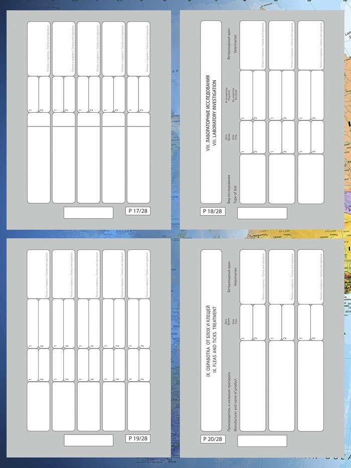 16862912_big Ветеринарный паспорт международный универсальный под светлую кожу — изображение 6
