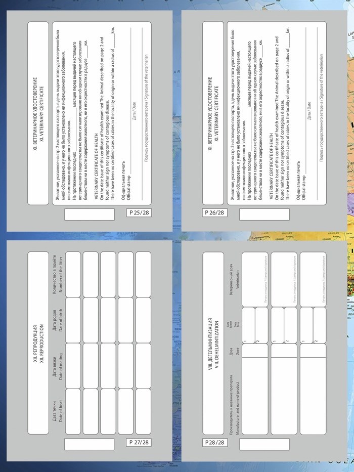 16862914_big Ветеринарный паспорт международный универсальный под светлую кожу — изображение 8