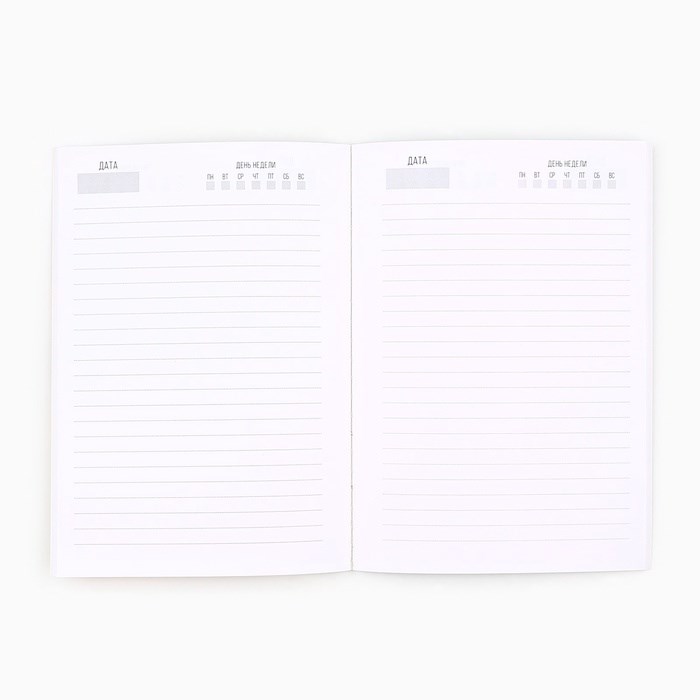 16864395_big Ежедневник "Настоящему мужчине", А5, 80 листов — изображение 3