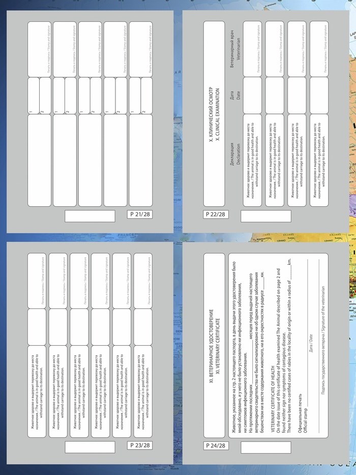 16864445_big Международный вет. паспорт "Лапа", 10,3 х 15,1 см — изображение 7