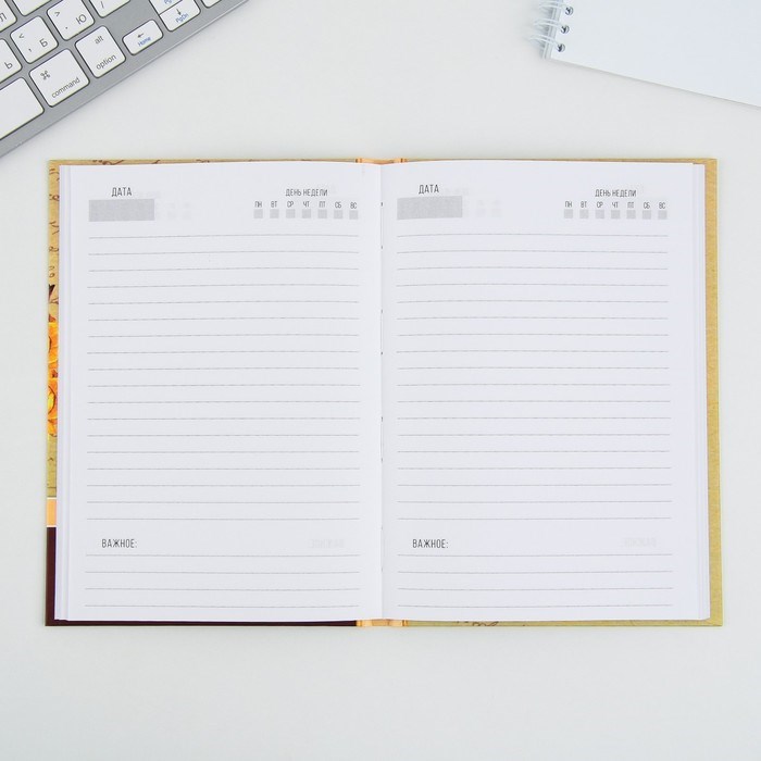 16872592_big Ежедневник «Золотого учителя», формат А5, 80 листов, МИКС — изображение 2