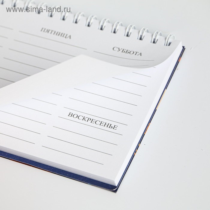 16877409_big Планинг прямоугольный тонкий картон «Лучший учитель», 50 листов — изображение 5