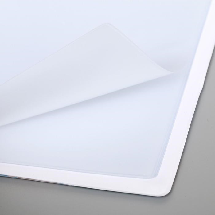 16884290_big Папка для семейных документов «Docs», 8 файлов А4 — изображение 3