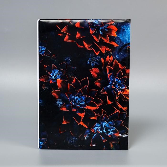 16884293_big Папка для семейных документов «Docs», 8 файлов А4 — изображение 6