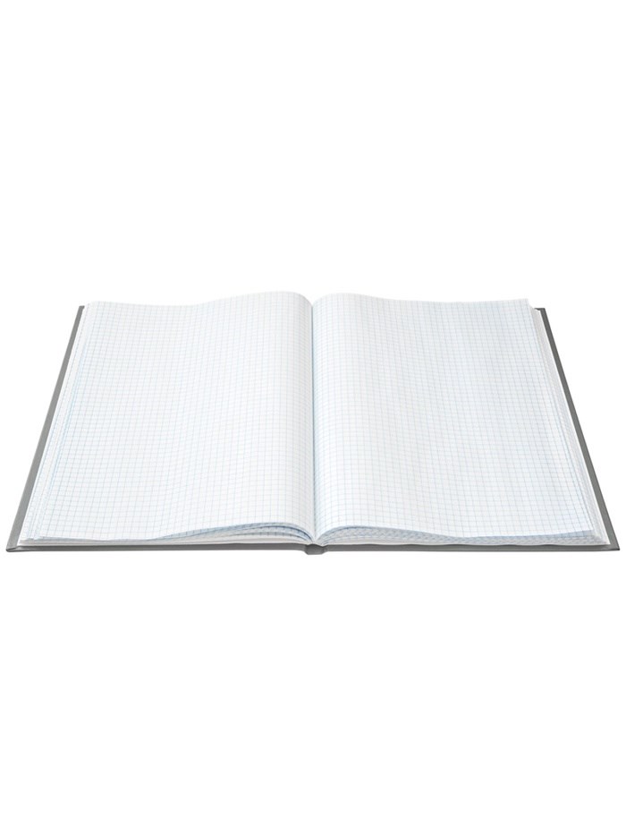 16895196_big Книга учета, 96 листов, обложка бумвинил, блок ОФСЕТ, клетка, цвет синий — изображение 2