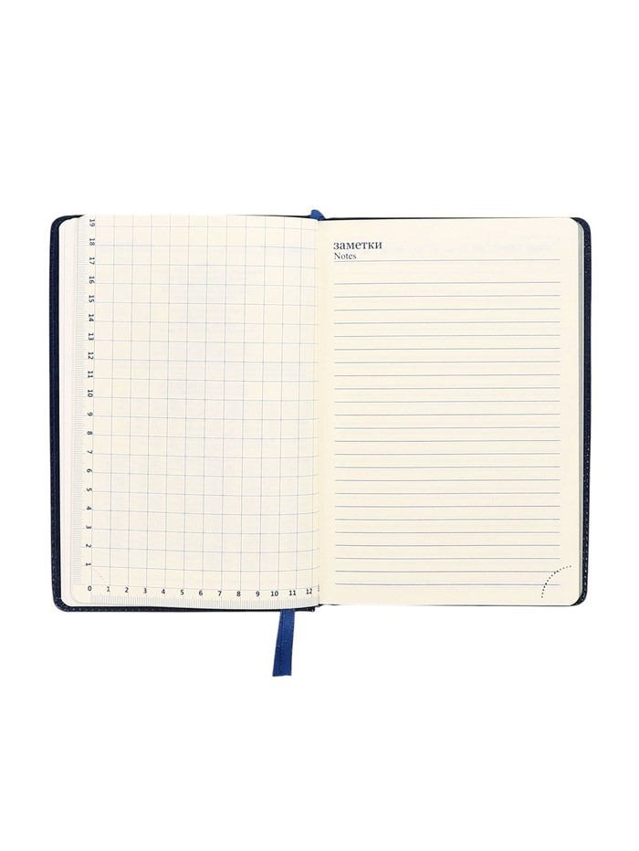 16895301_big Ежедневник НЕдатированный А5, 136 листов в линейку, кожзам "Небраска", серебряный срез, синий — изображение 10