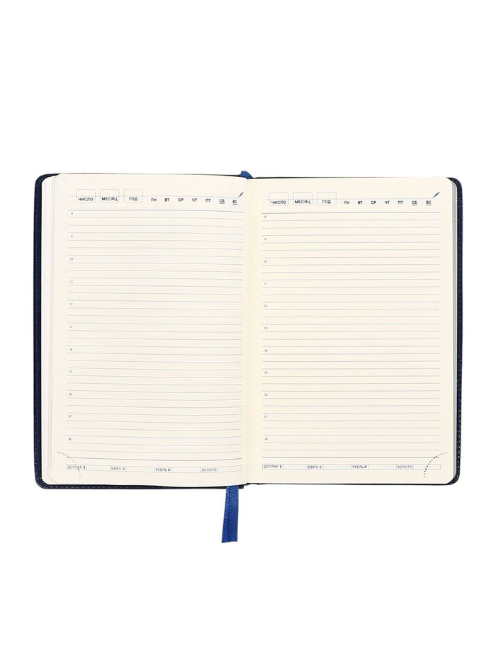 16895302_big Ежедневник НЕдатированный А5, 136 листов в линейку, кожзам "Небраска", серебряный срез, синий — изображение 11