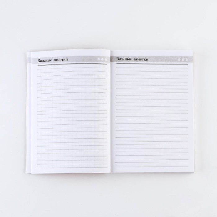 16895909_big Ежедневник «Лучшему учителю», формат А5,160 листов, мягкая обложка — изображение 9