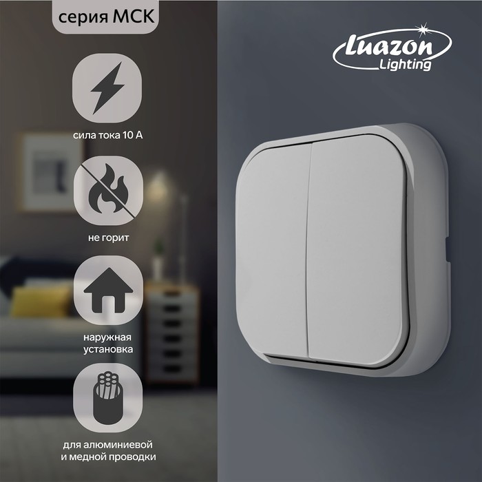 Выключатель Luazon Lighting &quot;МСК&quot;, 10 А, 2 клавиши, белый