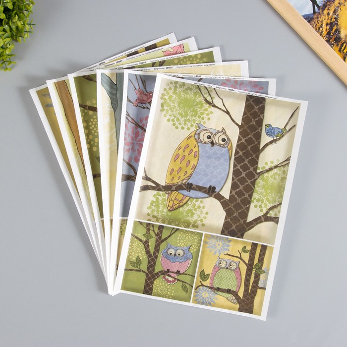 700-nw Набор декупажных карт 6 шт «Совушки» — изображение 2