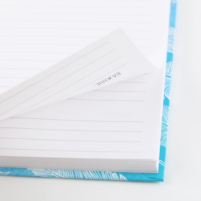 700-nw Ежедневник в твердой обложке «Перья», А5, 80 листов — изображение 4