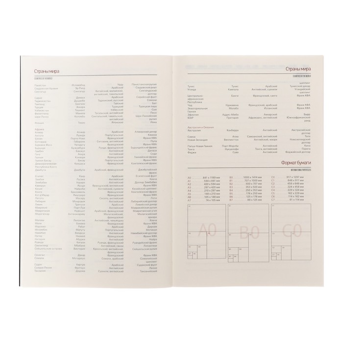 700-nw Ежедневник недатированный А5, 136 листов SENATE, обложка искусственная кожа, магнитный хлястик, сменный блок, серый — изображение 17