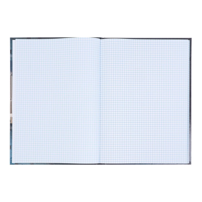 700-nw Книга учета А4, 96 листов в клетку "Мегаполис", твёрдая обложка, блок офсет — изображение 3