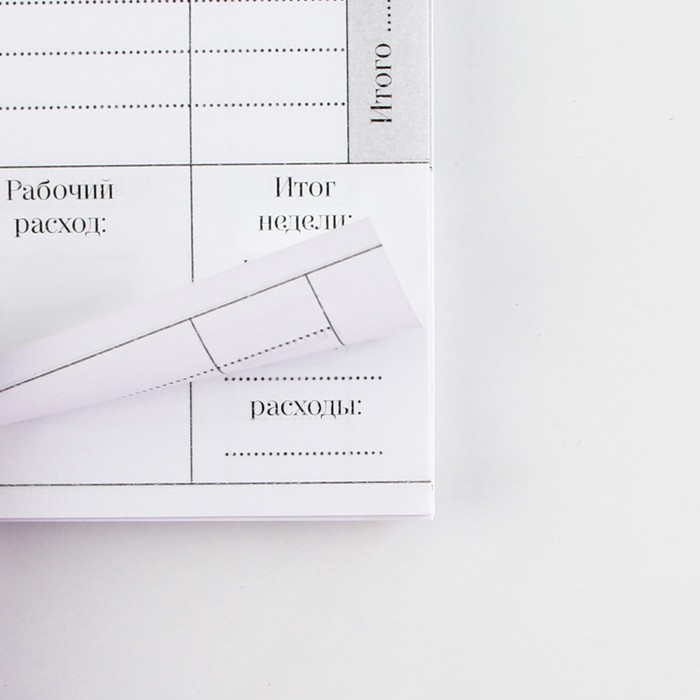 700-nw Планинг для записи клиентов А5, 98 л "Верь в свои силы" — изображение 6