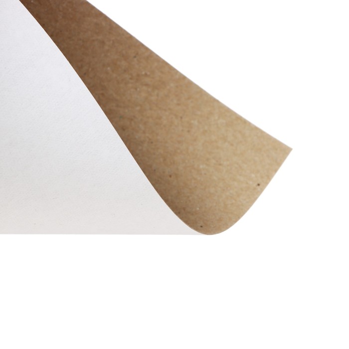 700-nw Картон белый А5, 6 листов, 220 г/м2 Calligrata, немелованный, ЭКОНОМ — изображение 4