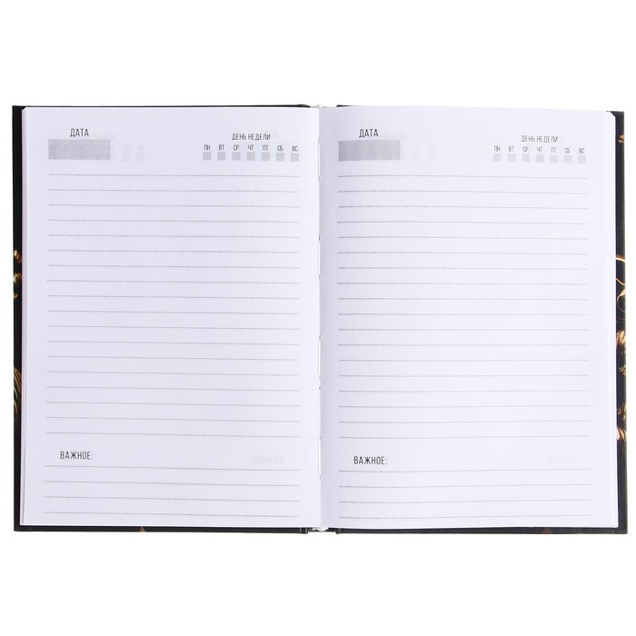 700-nw Ежедневник недатированный на сшивке А5 128 листов, картон 7БЦ, матовая ламинация, фольга "Эстетика" — изображение 3