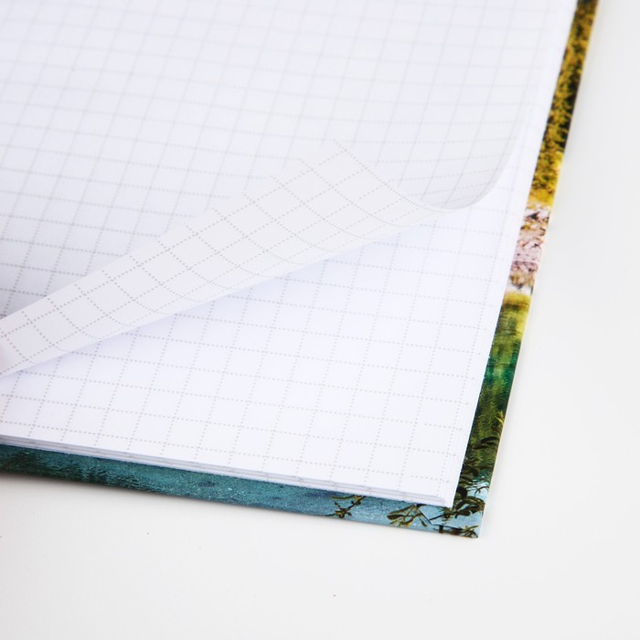 700-nw Блокнот А6 в твердой обложке, 40 листов «Природа» — изображение 3