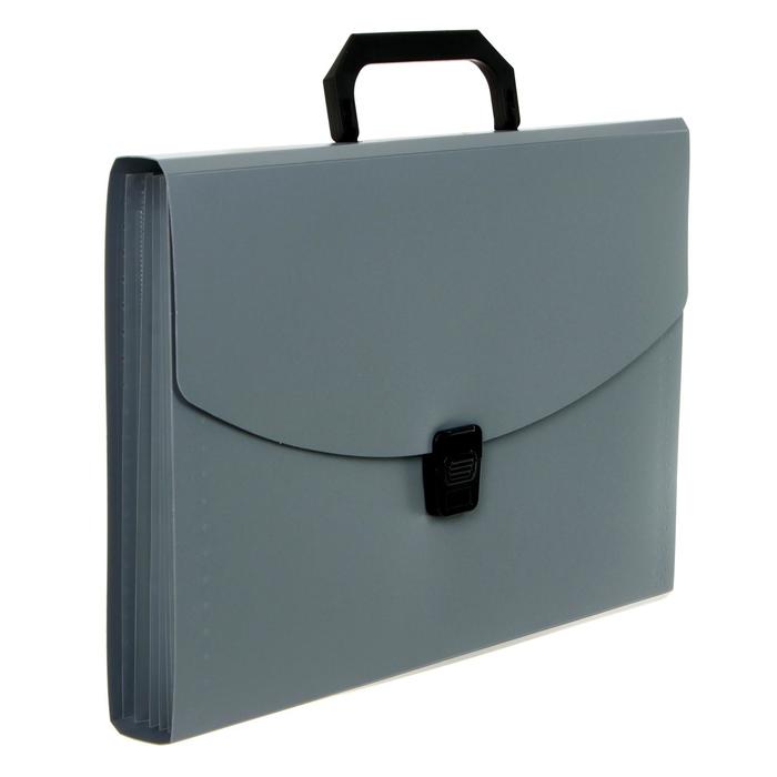 700-nw Папка-портфель А4 Calligrata, 6 отделений, 700мкм, до 300 листов, серая — изображение 2