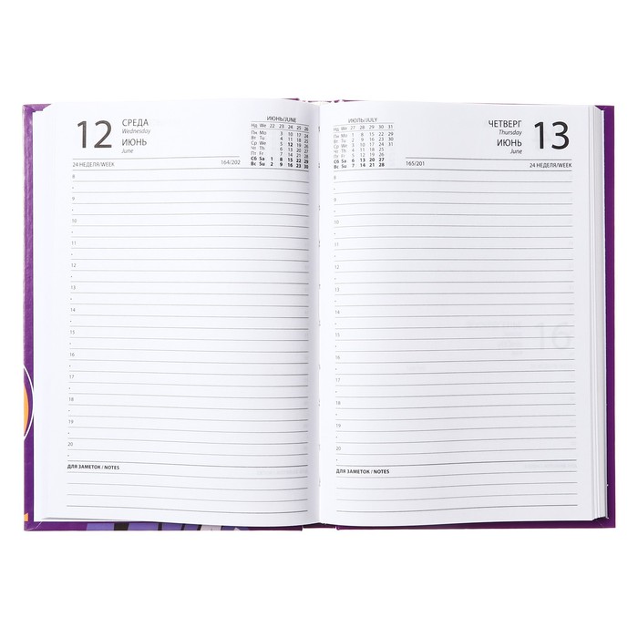 700-nw Ежедневник полудатированный на сшивке, А5 160 листов, картон 7БЦ, Аниме. Парень, глянцевая ламинация — изображение 5