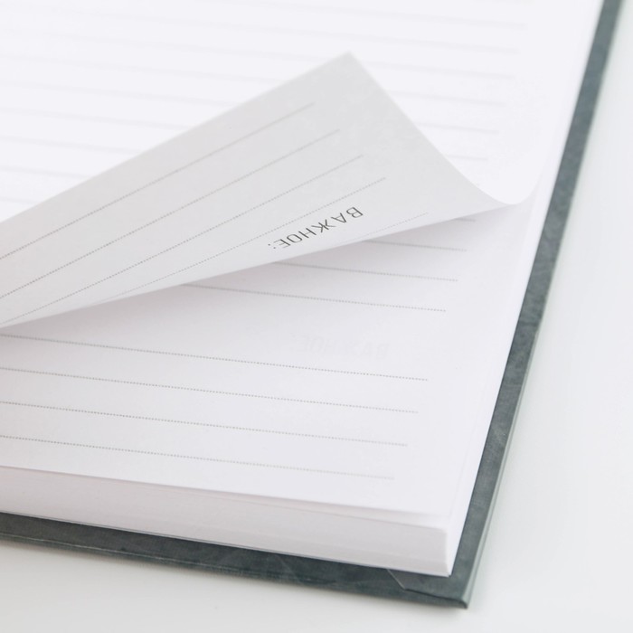 700-nw Ежедневник «Герб», А5, 80 листов — изображение 4