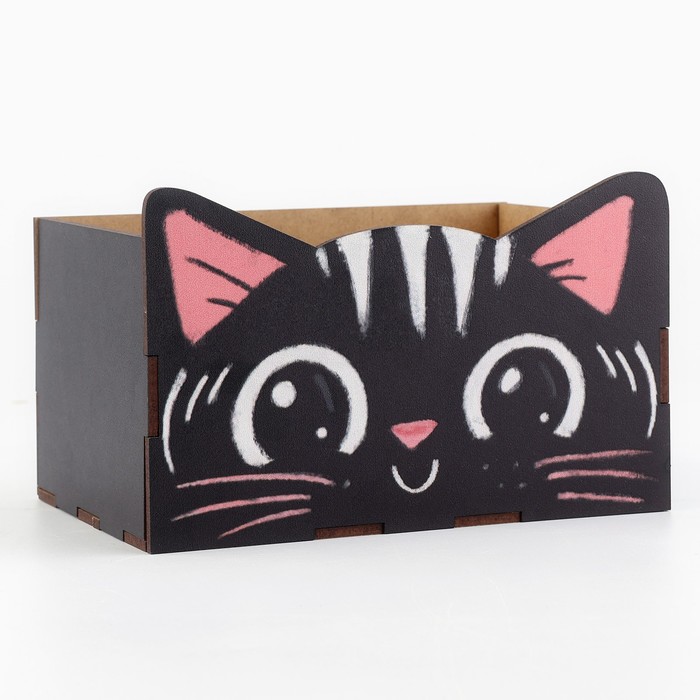 700-nw Органайзер для канцтоваров "Чёрный котик" — изображение 4