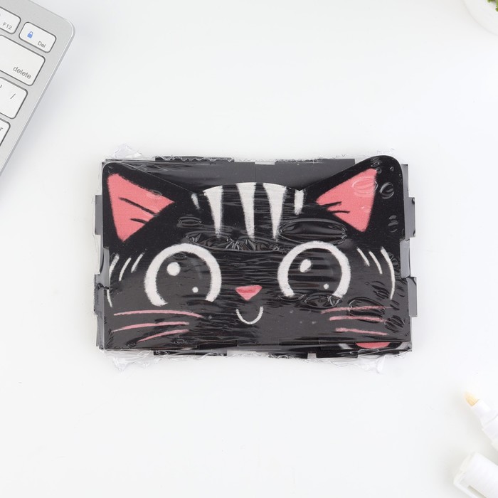 700-nw Органайзер для канцтоваров "Чёрный котик" — изображение 8