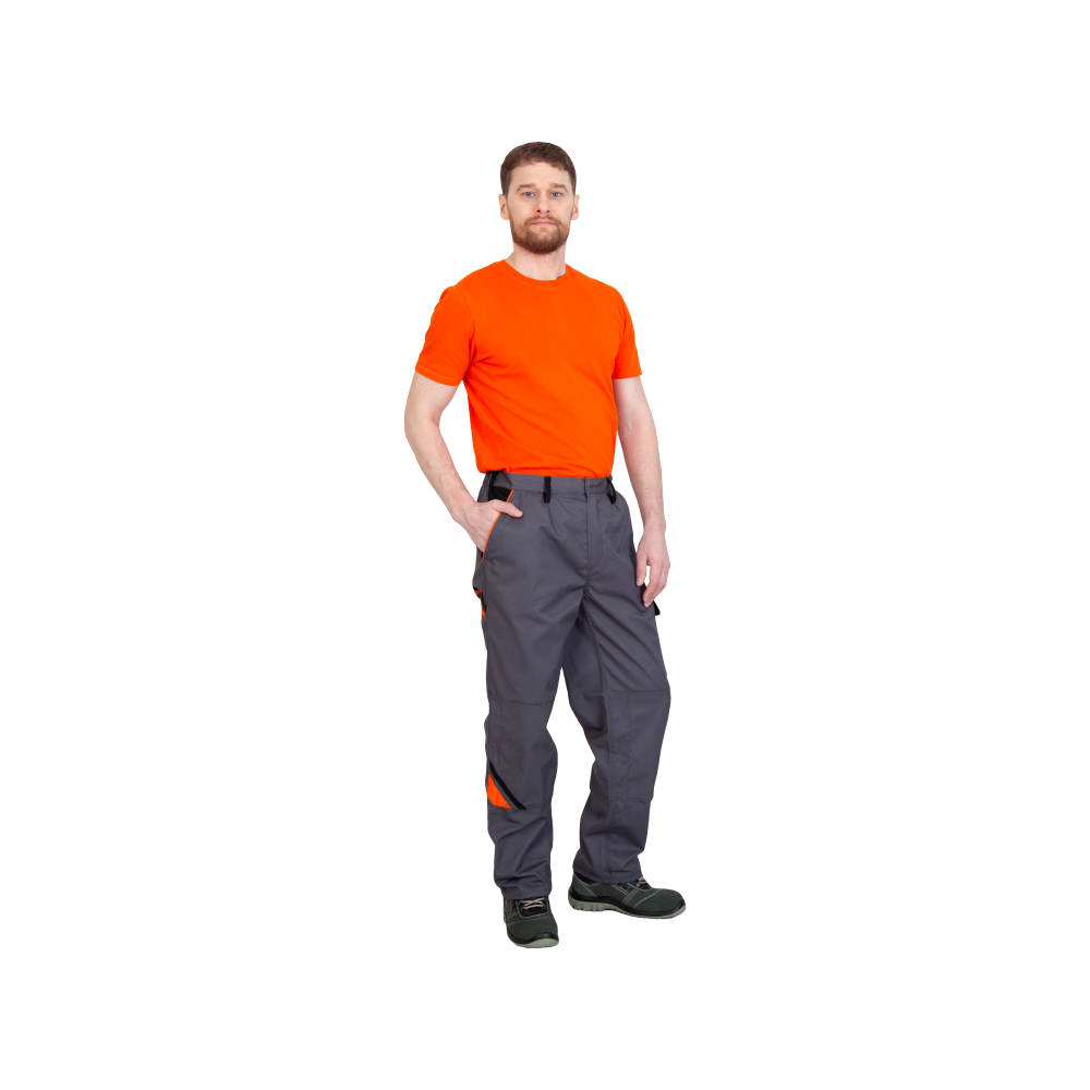 10012023-3 Брюки рабочие Professional, серые — изображение 4