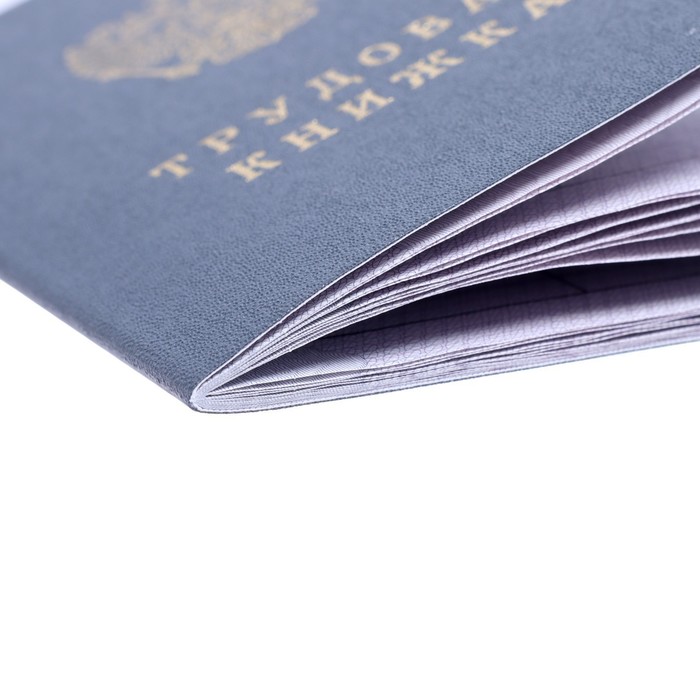 1018473-3 Бланк "Трудовая книжка" без голограммы — изображение 4