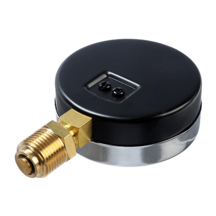 5300080-2 Термоманометр "CTM", радиальный, Дк 80 мм, 0.6 МПа, наружная резьба 1/4", 120°С — изображение 3