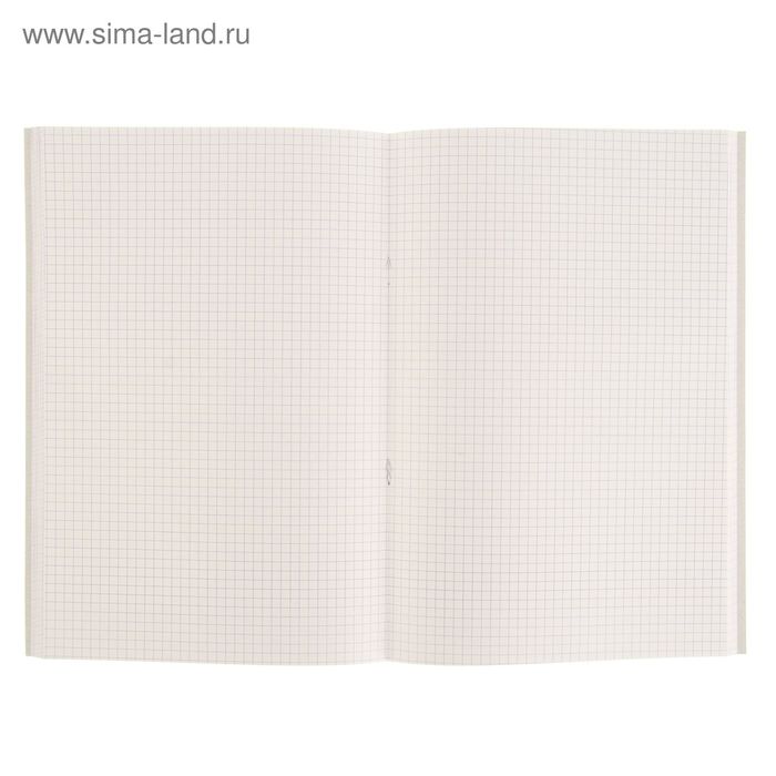700-nw Книга учёта А4, 96 листов, клетка, обложка картон, офсет — изображение 3