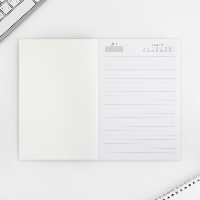 700-nw Ежедневник А5, 160 л. Мягкая обложка «По-моему очень хорошо» — изображение 2
