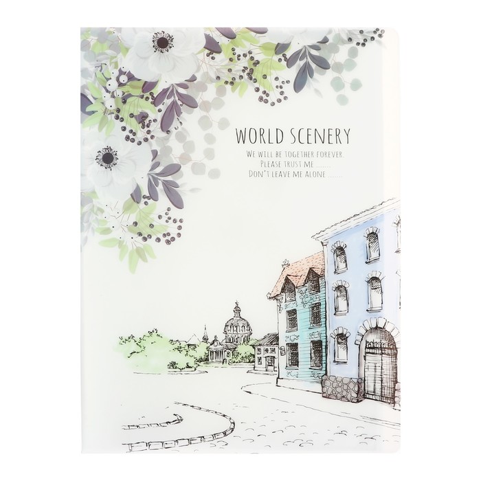 700-nw Папка формат А4, с 30 прозрачными файлами, Город, МИКС — изображение 2