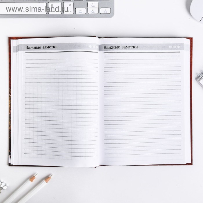 ezhednevnik-amp171uchitelju-ezhednevnik-uchiteljaamp187-tvjordaja-oblozhka-karton-7bc-format-a5-160-listov-3468341-7 Ежедневник «Учителю: Ежедневник учителя», твёрдая обложка картон 7БЦ, формат А5, 160 листов — изображение 8