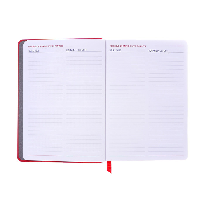 ezhednevnik-datirovannyj-2025-goda-a6-176-listov-ampquotlionampquot-tverdaja-oblozhka-blintovoe-tisnenie-c-ljasse-blok-80-gm2-krasnyj-10795104-7 Ежедневник датированный 2025 года, А6+, 176 листов "ЛИОН" , твердая обложка, блинтовое тиснение, c ляссе, блок 80 г/м2, красный — изображение 8