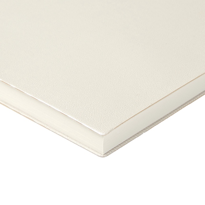 ezhednevnik-nedatirovannyj-a5-128-listov-grand-integralnaja-oblozhka-iz-iskusstvennoj-kozhi-ljasse-kremovyj-blok-70-gm2-zhemchuzhnyj-10845983-1 Ежедневник недатированный А5, 128 листов GRAND, интегральная обложка из искусственной кожи, ляссе, кремовый блок 70 г/м2, жемчужный — изображение 2