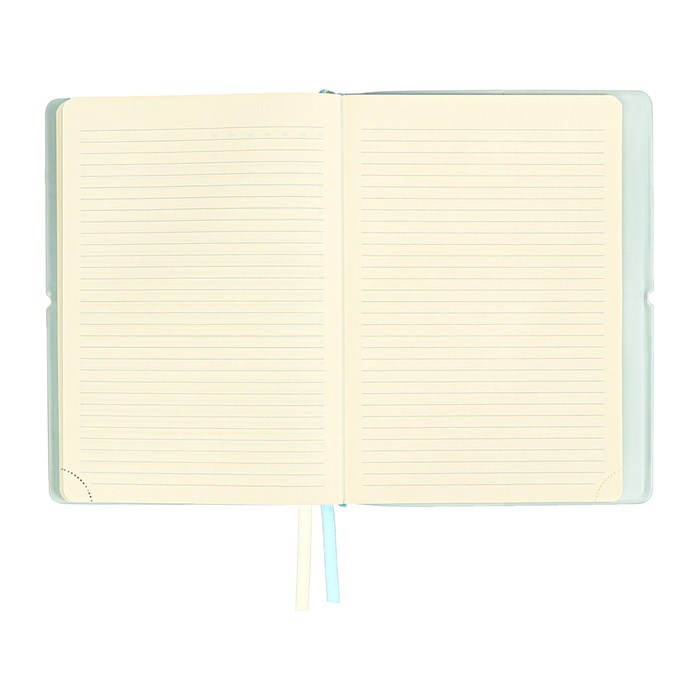 ezhednevnik-nedatirovannyj-a5-136-listov-devente.-jane-mjagkaja-oblozhka-pvh-rezinka-perforacija-ljasse-blok-70-goluboj-10815521-13 Ежедневник недатированный A5 136 листов deVENTE. Jane, мягкая обложка пвх, резинка, перфорация, ляссе, блок 70, голубой — изображение 14