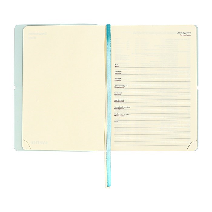 ezhednevnik-nedatirovannyj-a5-136-listov-devente.-jane-mjagkaja-oblozhka-pvh-rezinka-perforacija-ljasse-blok-70-goluboj-10815521-8 Ежедневник недатированный A5 136 листов deVENTE. Jane, мягкая обложка пвх, резинка, перфорация, ляссе, блок 70, голубой — изображение 9