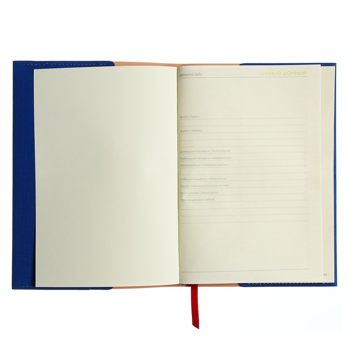 ezhednevnik-nedatirovannyj-a5-136-listov-v-liniju-sorrento-oblozhka-iskusstvennaja-kozha-ljasse-tonirovannyj-smennyj-blok-70-gm2-jarko-sinij-10183538-4 Ежедневник недатированный А5, 136 листов в линию SORRENTO, обложка искусственная кожа, ляссе, тонированный сменный блок 70 г/м2, ярко-синий — изображение 5