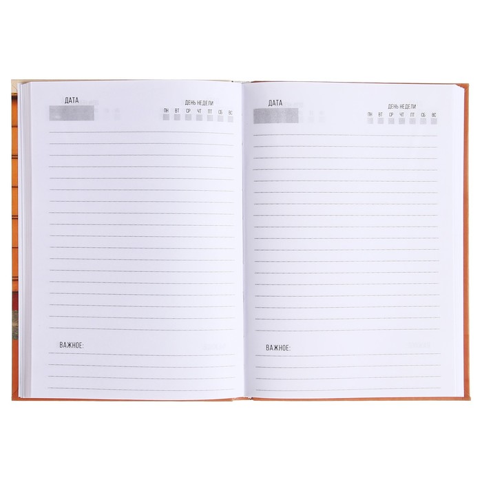 ezhednevnik-nedatirovannyj-na-sshivke-a5-136-listov-integralnaja-oblozhka-matovaja-laminacija-ampquotvelosipedampquot-9824648-2 Ежедневник недатированный на сшивке А5 136 листов, интегральная обложка, матовая ламинация "Велосипед" — изображение 3