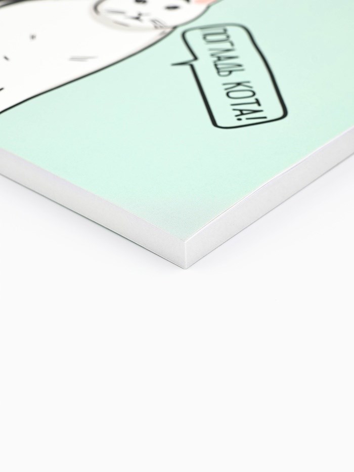 ezhednevnik-v-mjagkoj-oblozhke-amp171kotamp187-a5-80-listov-7791411-2 Ежедневник в мягкой обложке «Кот» А5, 80 листов — изображение 3