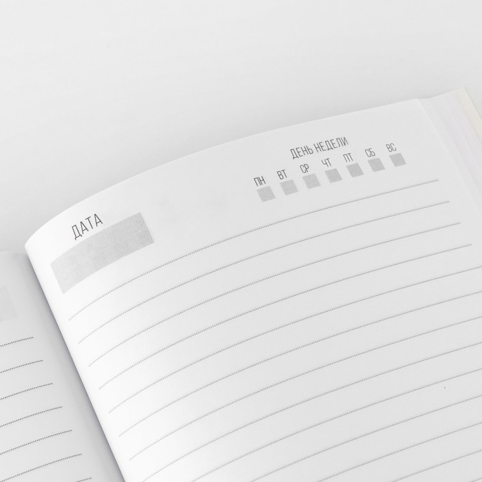 ezhednevnik-v-tonkoj-oblozhke-a5-80-l-amp171vremja-volshebstvaamp187-7876394-3 Ежедневник в тонкой обложке А5, 80 л «Время волшебства» — изображение 4