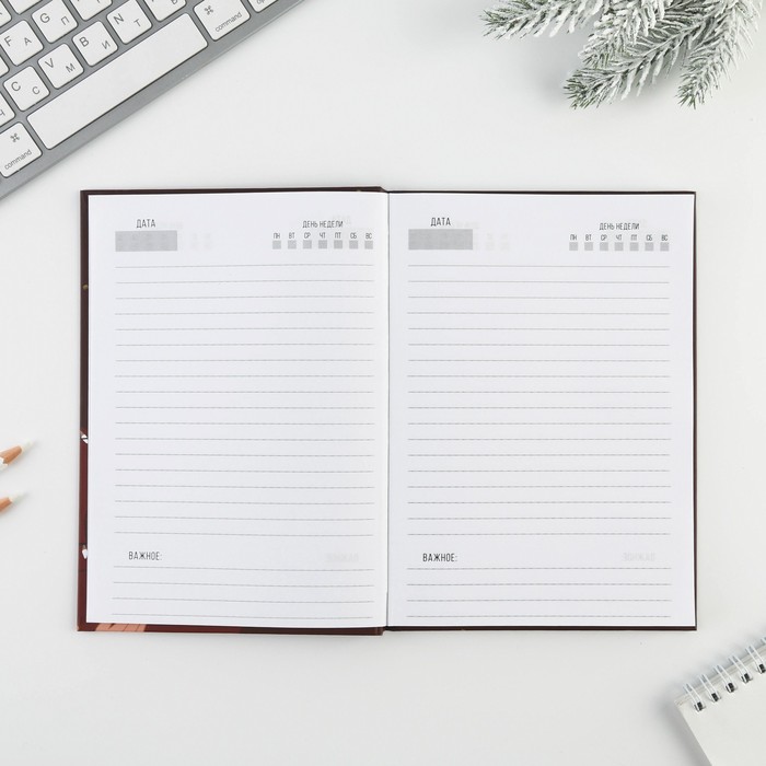 ezhednevnik-v-tverdoj-oblozhke-amp171novyj-god-obrechen-na-uspehamp187-a5-80-listov-6996328-1 Ежедневник в твердой обложке «Новый год обречен на успех» А5, 80 листов — изображение 2