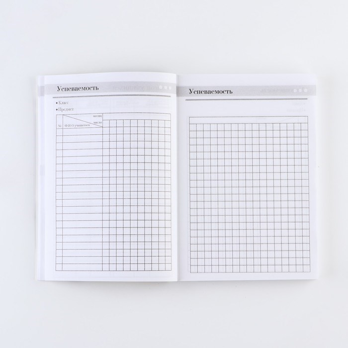 ezhegodnik-amp171luchshemu-uchiteljuamp187-format-a5-160-listov-mjagkaja-oblozhka-7888618-9 Ежегодник «Лучшему учителю», формат А5, 160 листов, мягкая обложка — изображение 10