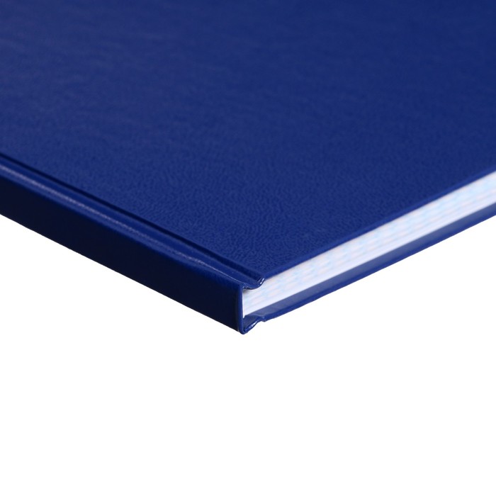 kniga-ucheta-96-listov-oblozhka-bumvinil-blok-ofset-kletka-cvet-sinij-gerb-tisnenie-zolotoj-folgoj-9563370-2 Книга учета, 96 листов, обложка бумвинил, блок ОФСЕТ, клетка, цвет синий, ГЕРБ (тиснение золотой фольгой) — изображение 3